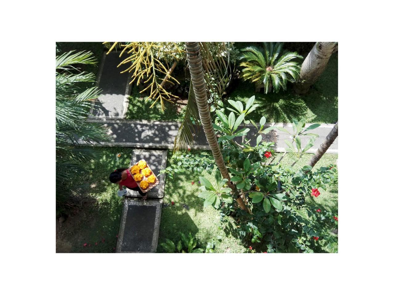 In Da Garden Séjour chez l'habitant Ubud