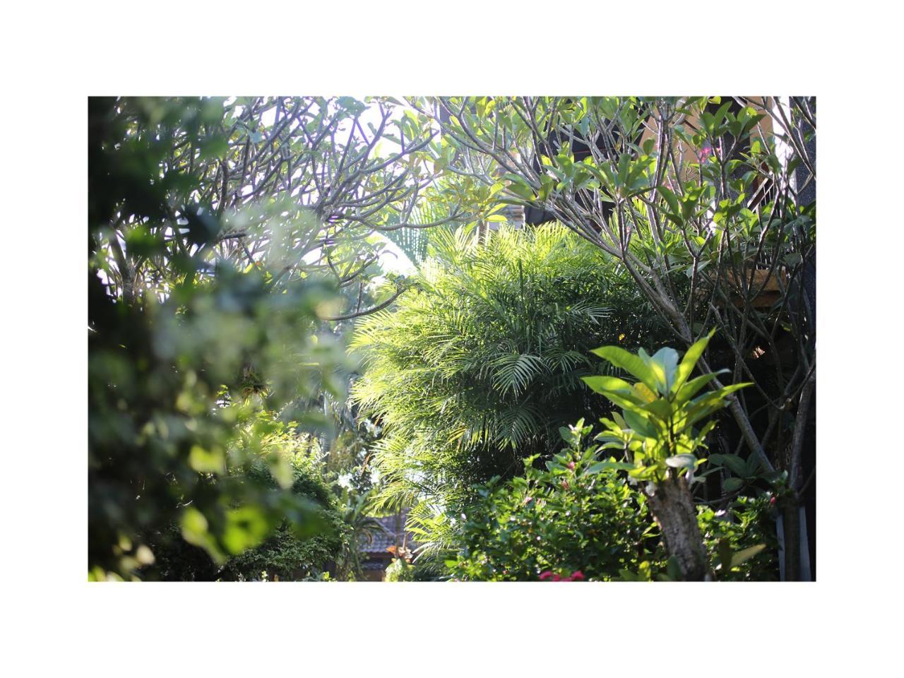 In Da Garden Homestay *